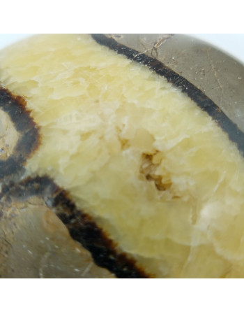 SEPTARIA COEUR UNILLIANCE MINERAUX