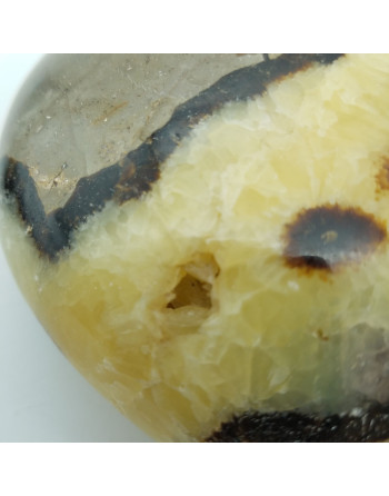 SEPTARIA COEUR UNILLIANCE MINERAUX