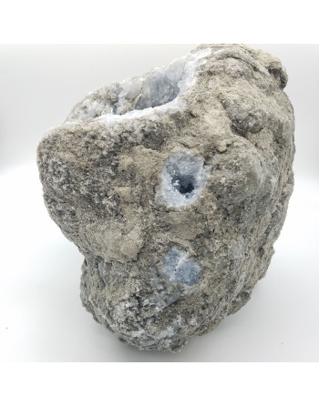 CELESTINE BRUTE ATELIER 2F