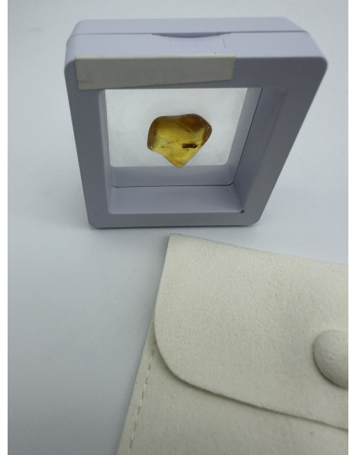 AMBRE INSECTE ATELIER 2F Unilliance Mineraux