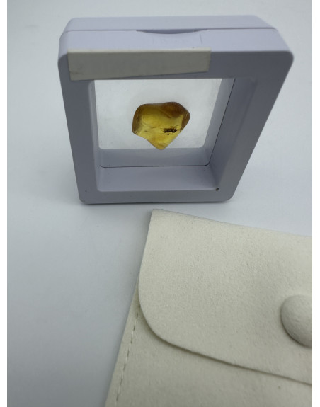 AMBRE INSECTE ATELIER 2F Unilliance Mineraux