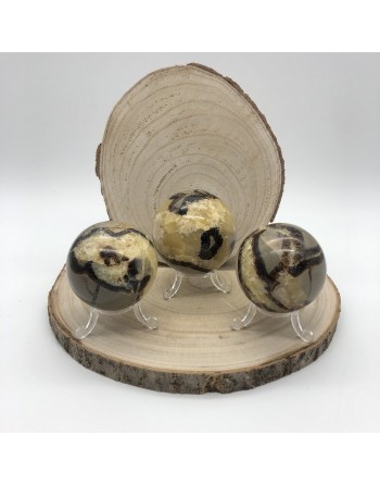 SEPTARIA UNILLIANCE MINERAUX GROSSISTE