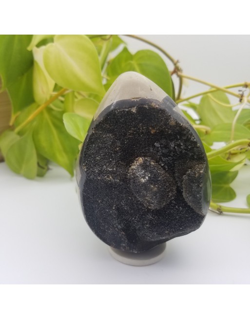 SEPTARIA ATELIER 2F UNILLIANCE MINERAUX