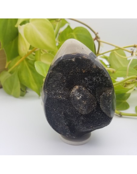 SEPTARIA ATELIER 2F UNILLIANCE MINERAUX