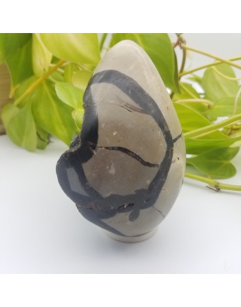 SEPTARIA ATELIER 2F UNILLIANCE MINERAUX