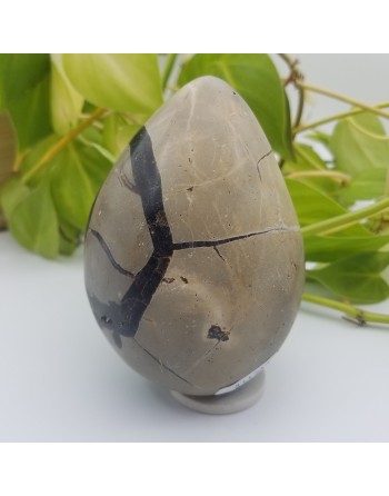 SEPTARIA ATELIER 2F UNILLIANCE MINERAUX