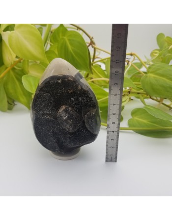 SEPTARIA ATELIER 2F UNILLIANCE MINERAUX